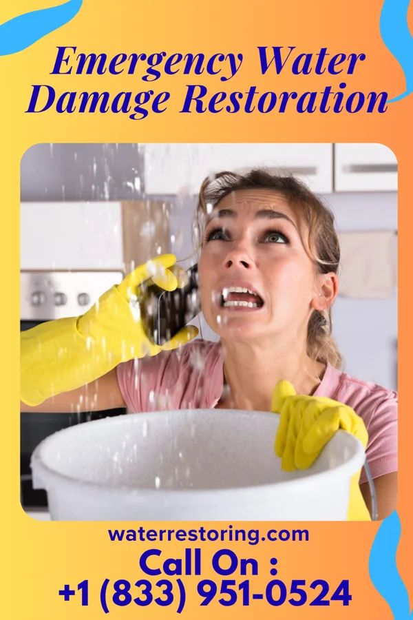 Emergency Water Damage Restoration in Honesdale, PA