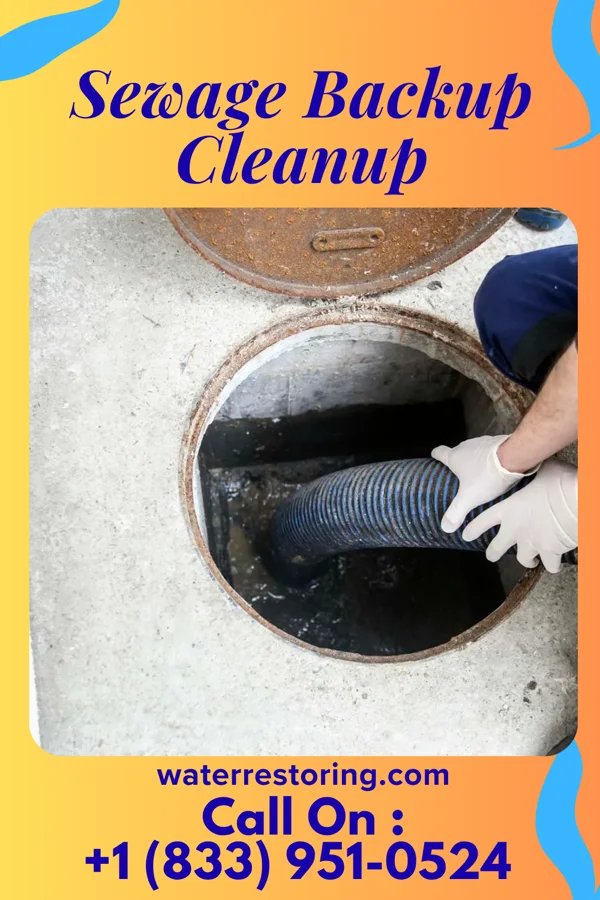 Sewage Backup Cleanup in Honesdale, PA