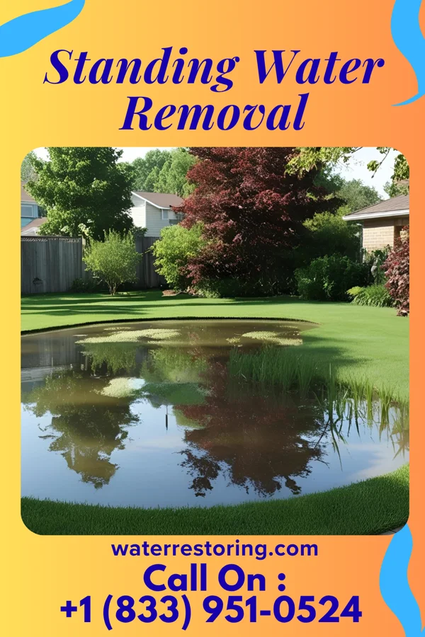 Standing Water Removal in Honesdale, PA